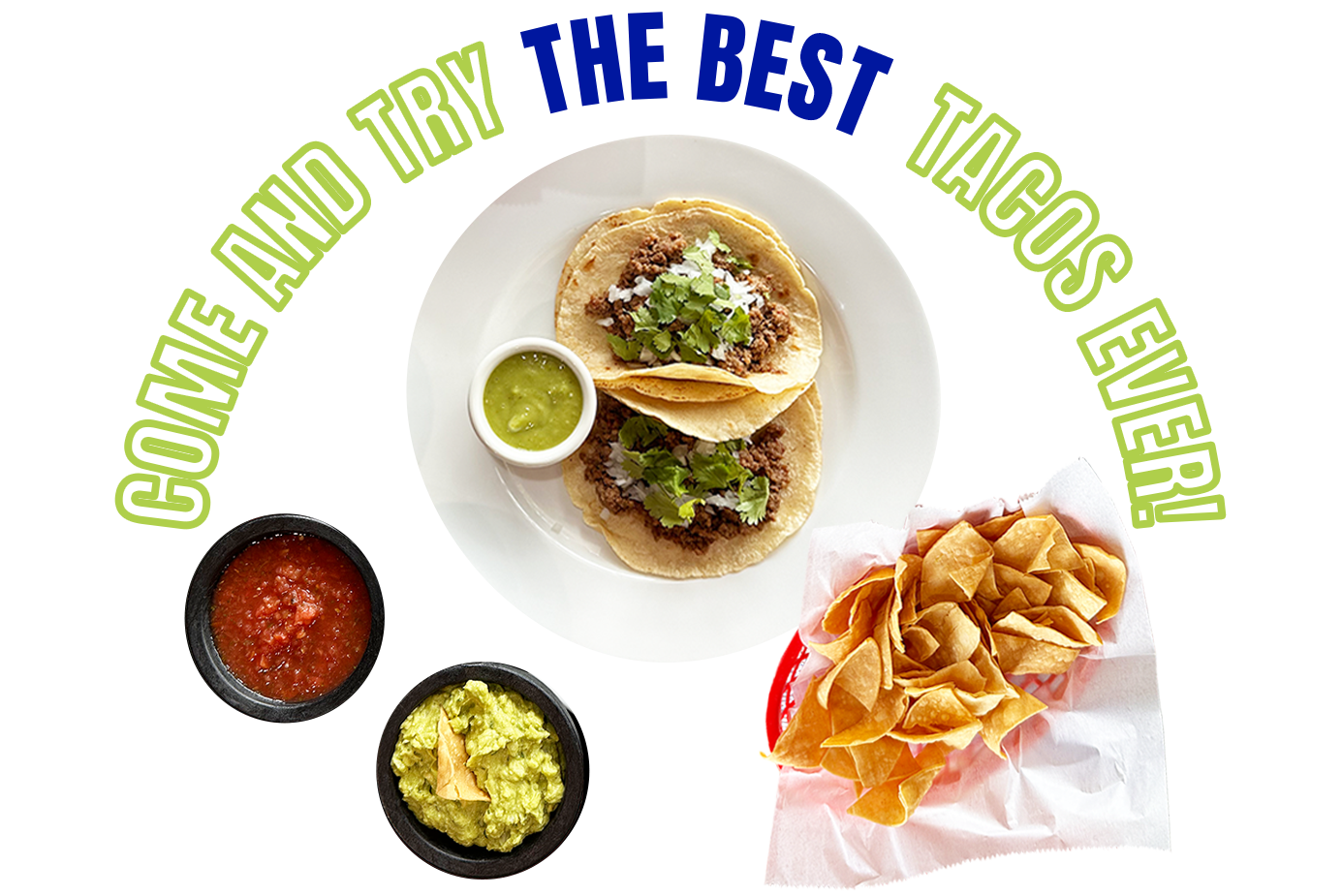 Taco Agave